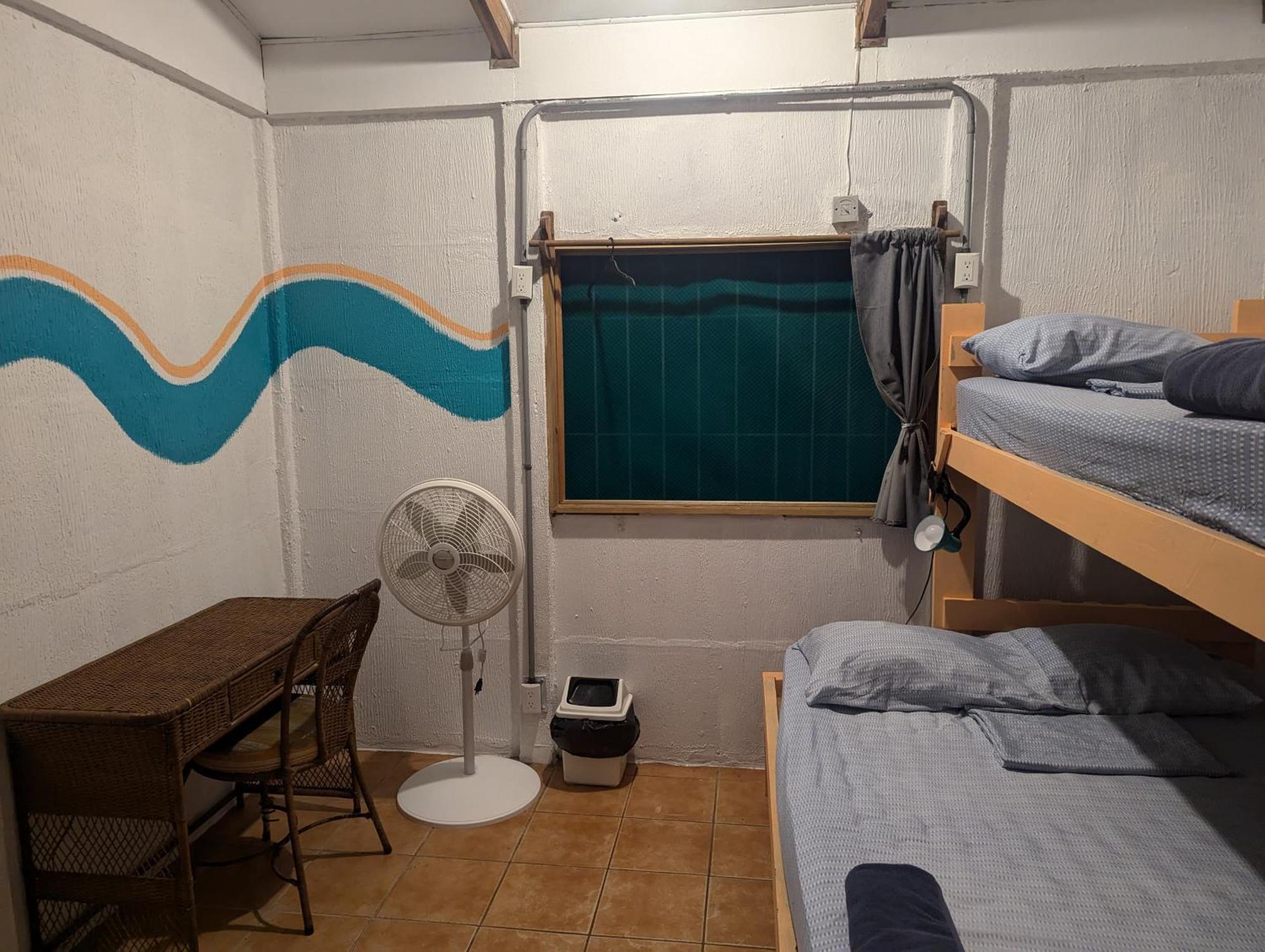 Tasty Dayz Hostel Puerto Viejo de Talamanca エクステリア 写真