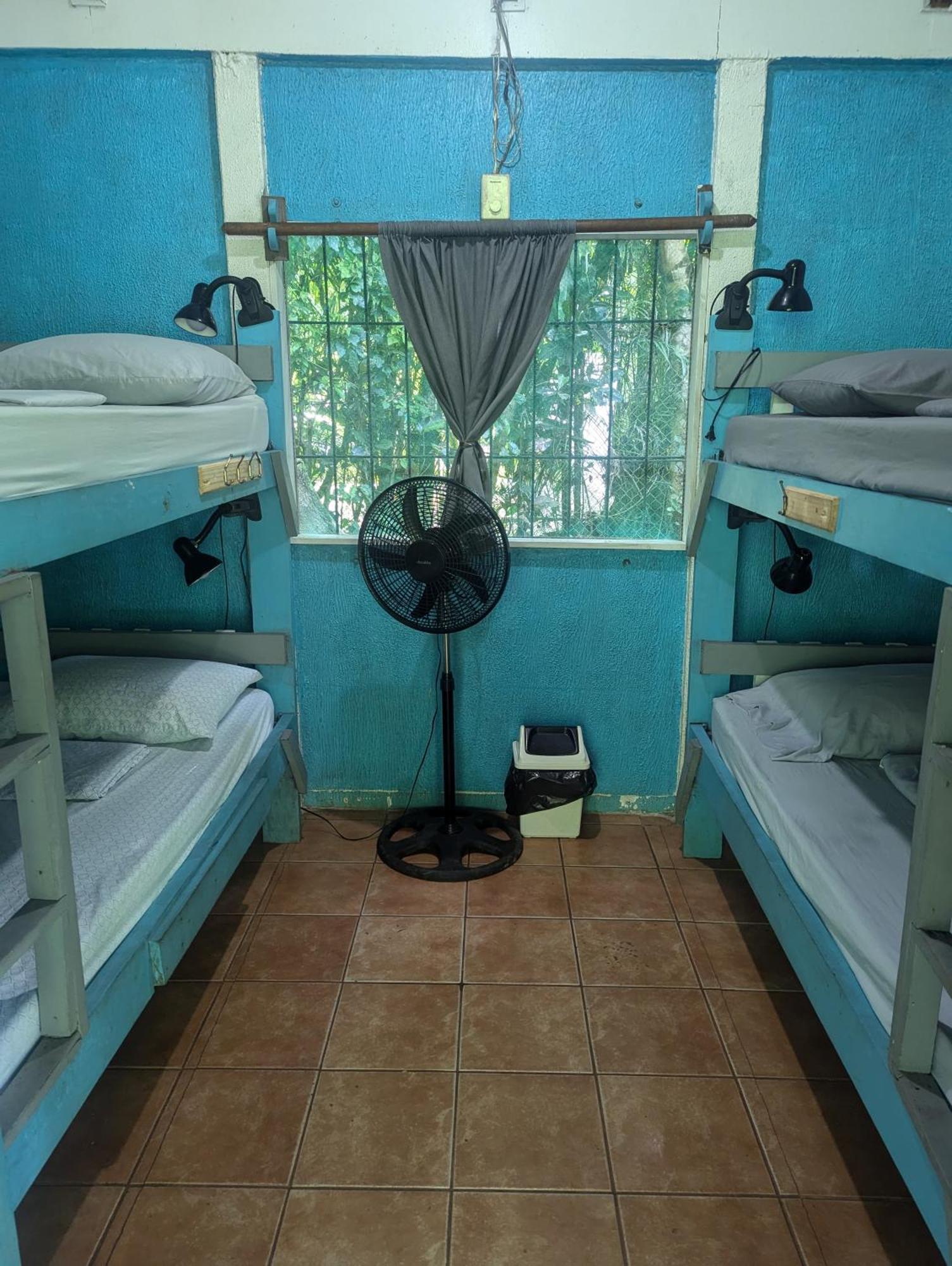 Tasty Dayz Hostel Puerto Viejo de Talamanca エクステリア 写真