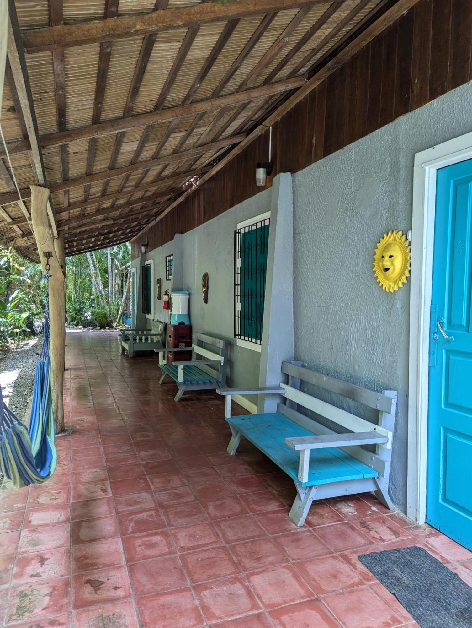 Tasty Dayz Hostel Puerto Viejo de Talamanca エクステリア 写真