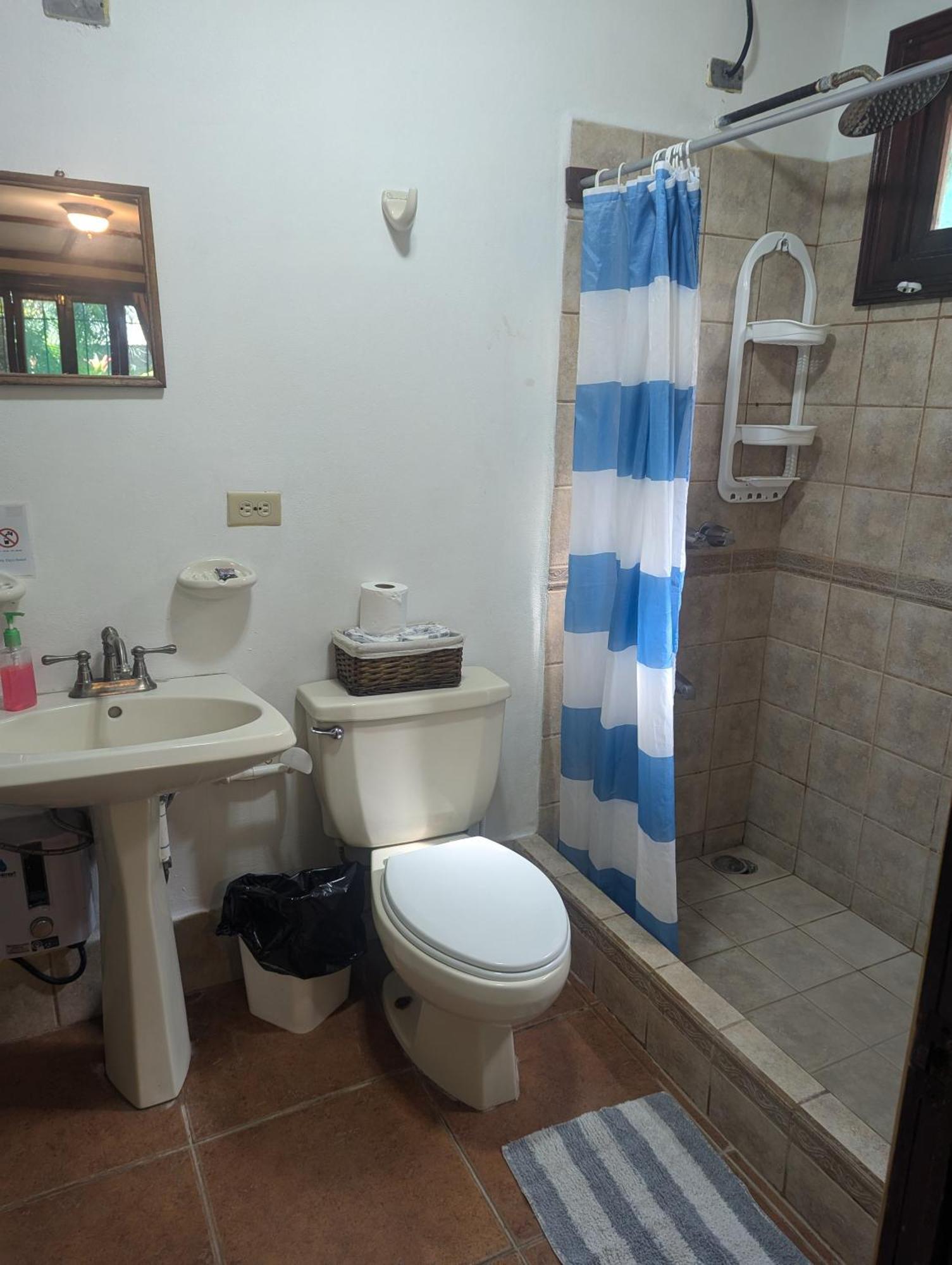 Tasty Dayz Hostel Puerto Viejo de Talamanca エクステリア 写真