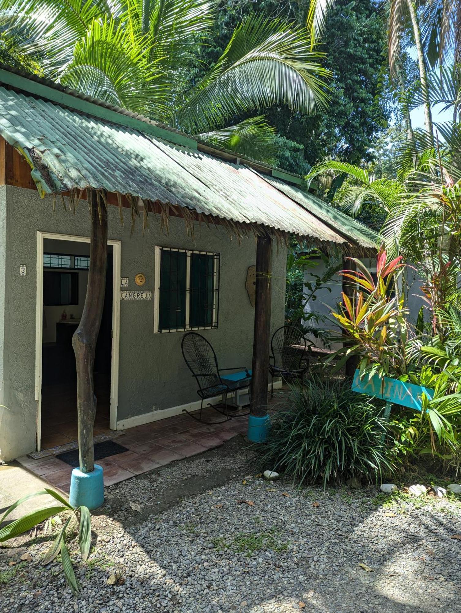 Tasty Dayz Hostel Puerto Viejo de Talamanca エクステリア 写真