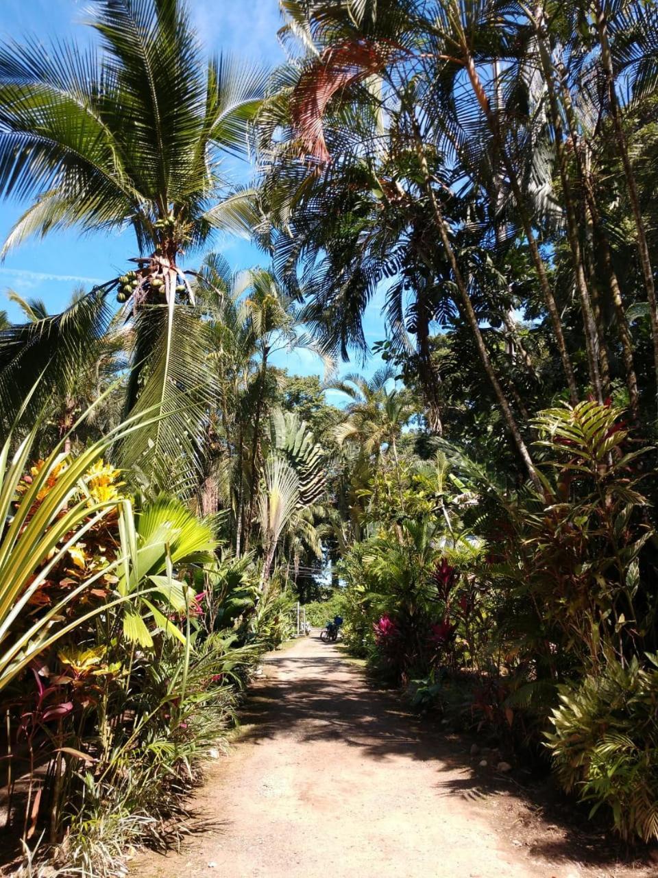 Tasty Dayz Hostel Puerto Viejo de Talamanca エクステリア 写真