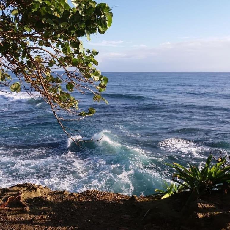 Tasty Dayz Hostel Puerto Viejo de Talamanca エクステリア 写真