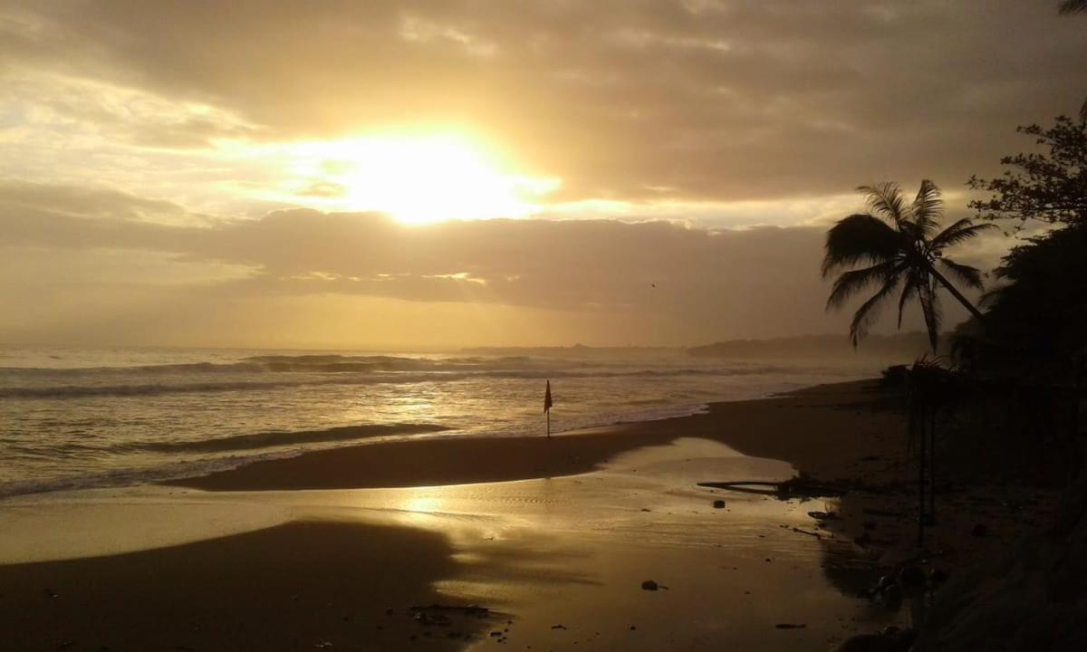 Tasty Dayz Hostel Puerto Viejo de Talamanca エクステリア 写真