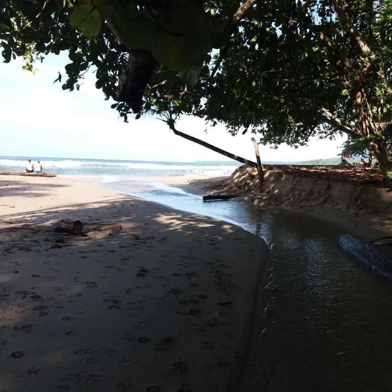 Tasty Dayz Hostel Puerto Viejo de Talamanca エクステリア 写真
