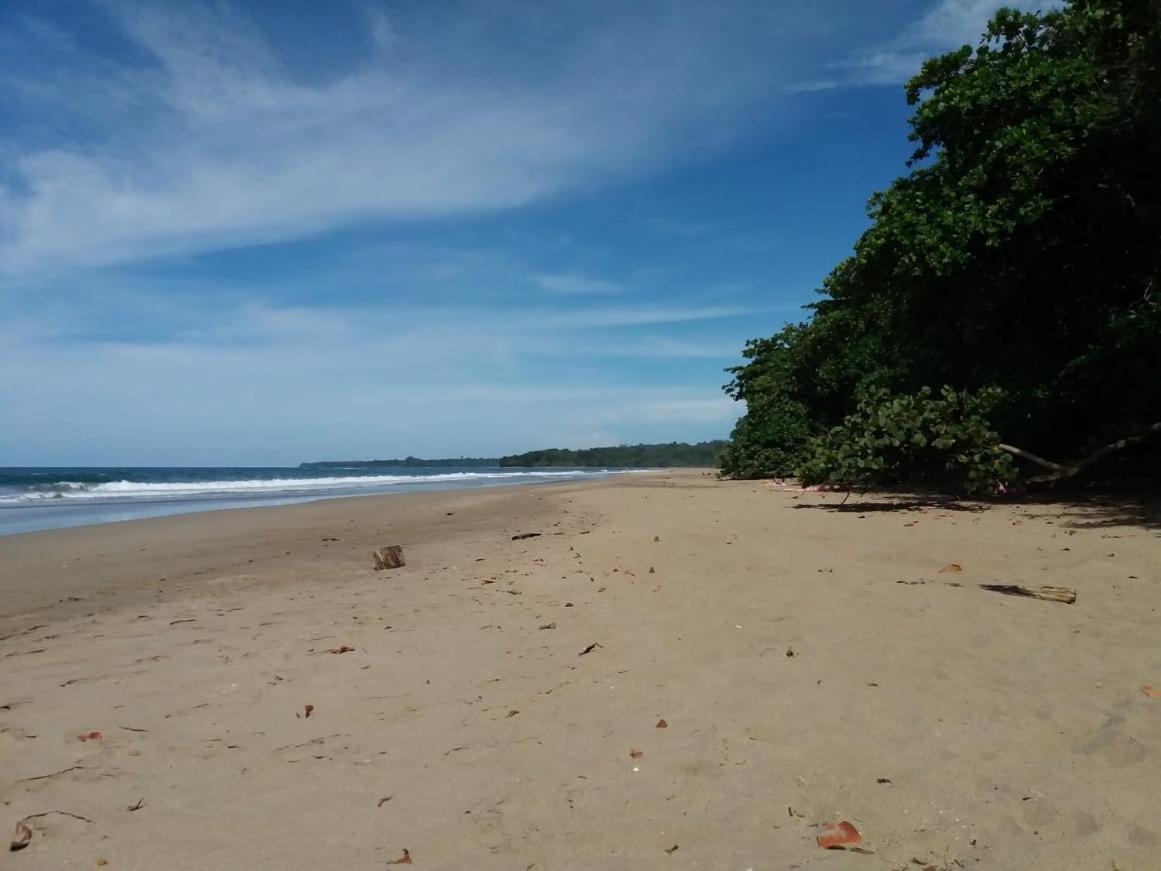 Tasty Dayz Hostel Puerto Viejo de Talamanca エクステリア 写真