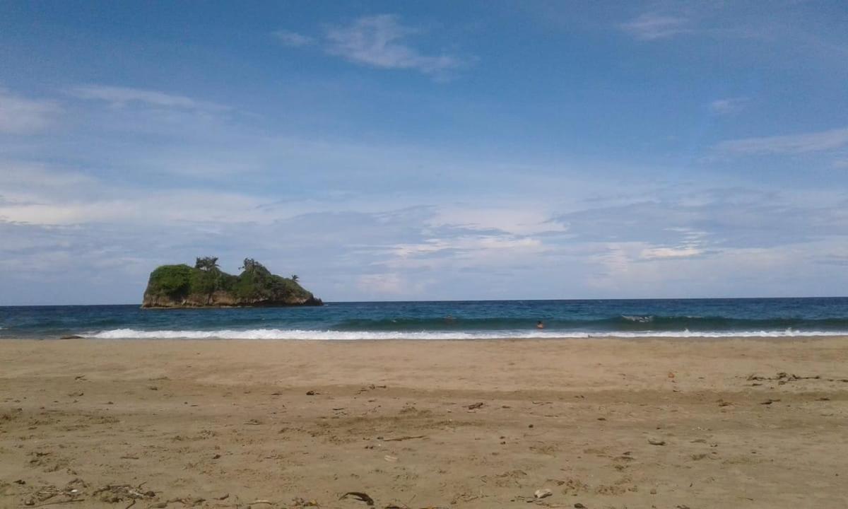 Tasty Dayz Hostel Puerto Viejo de Talamanca エクステリア 写真