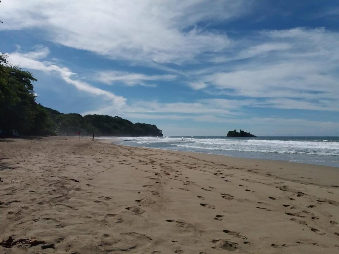 Tasty Dayz Hostel Puerto Viejo de Talamanca エクステリア 写真