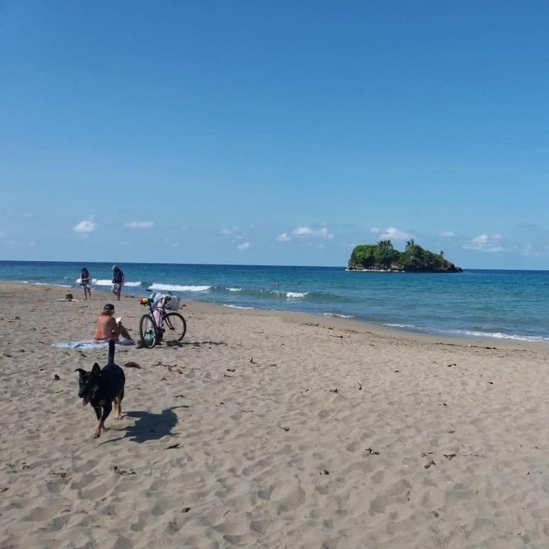 Tasty Dayz Hostel Puerto Viejo de Talamanca エクステリア 写真