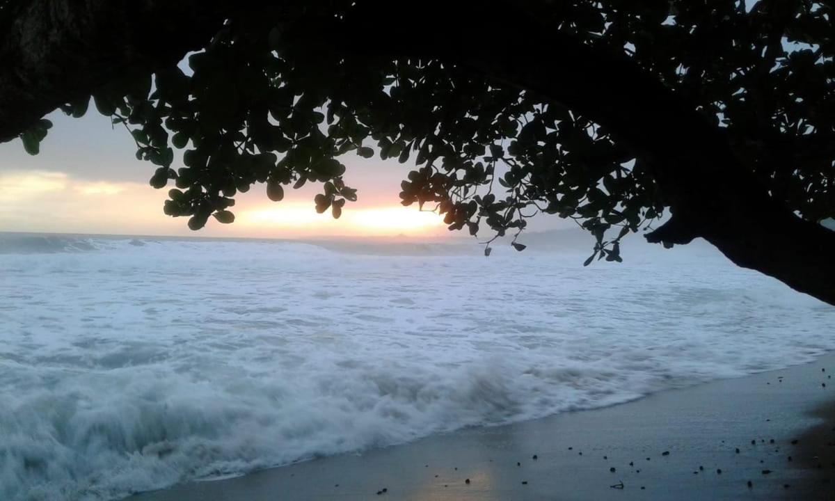 Tasty Dayz Hostel Puerto Viejo de Talamanca エクステリア 写真