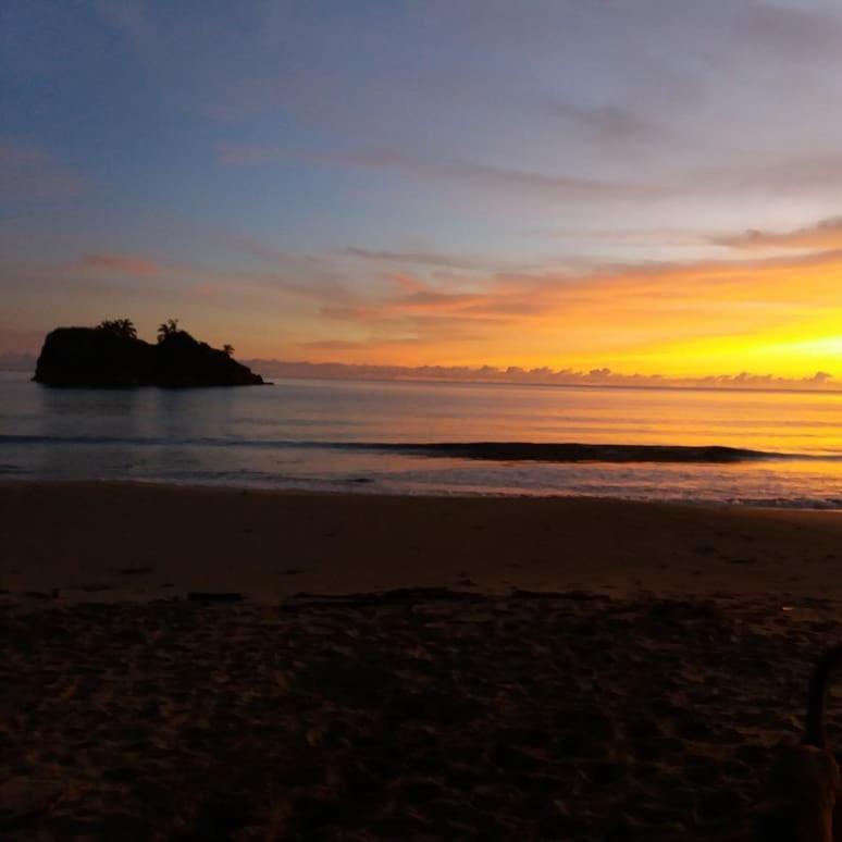 Tasty Dayz Hostel Puerto Viejo de Talamanca エクステリア 写真