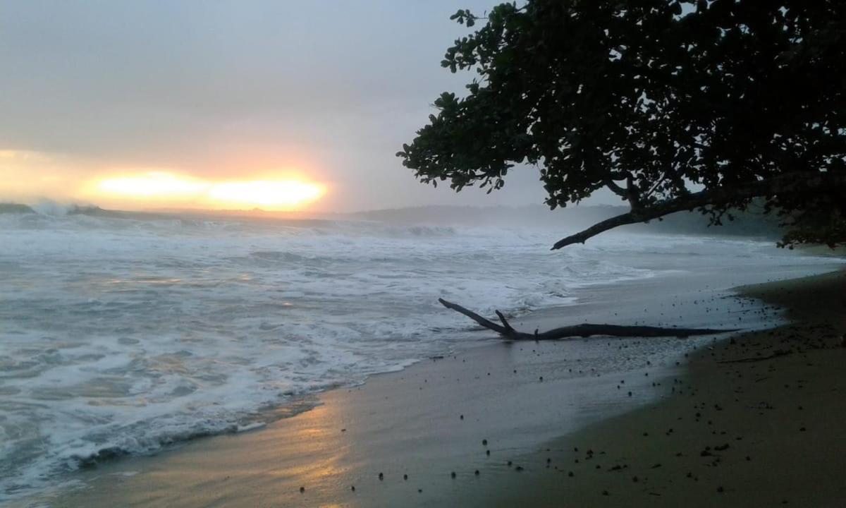 Tasty Dayz Hostel Puerto Viejo de Talamanca エクステリア 写真