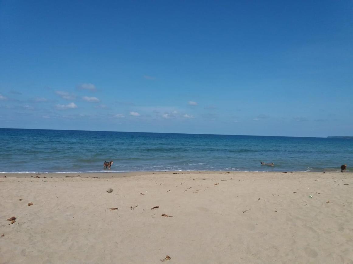 Tasty Dayz Hostel Puerto Viejo de Talamanca エクステリア 写真