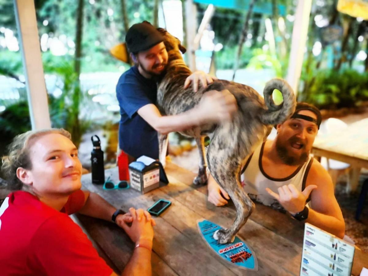 Tasty Dayz Hostel Puerto Viejo de Talamanca エクステリア 写真