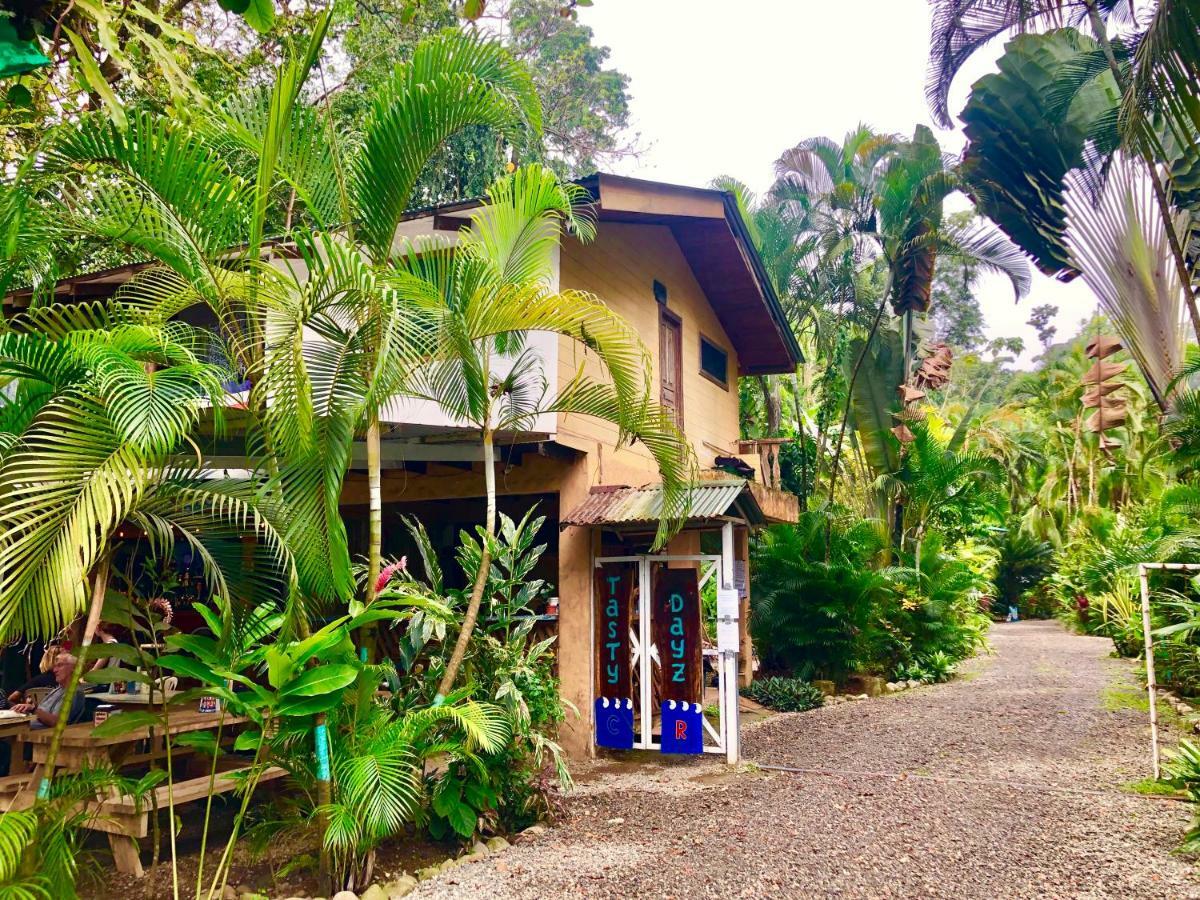 Tasty Dayz Hostel Puerto Viejo de Talamanca エクステリア 写真