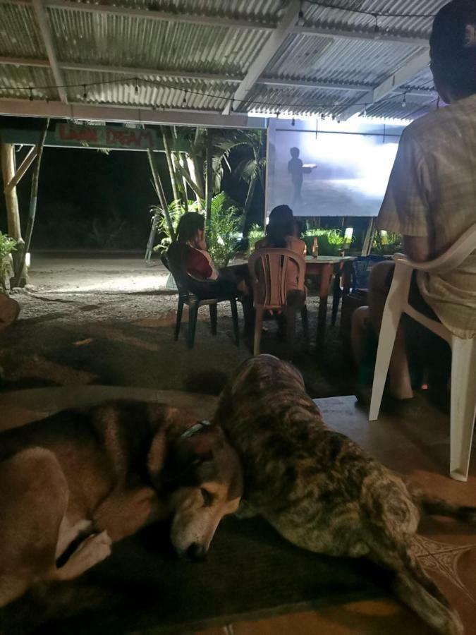 Tasty Dayz Hostel Puerto Viejo de Talamanca エクステリア 写真