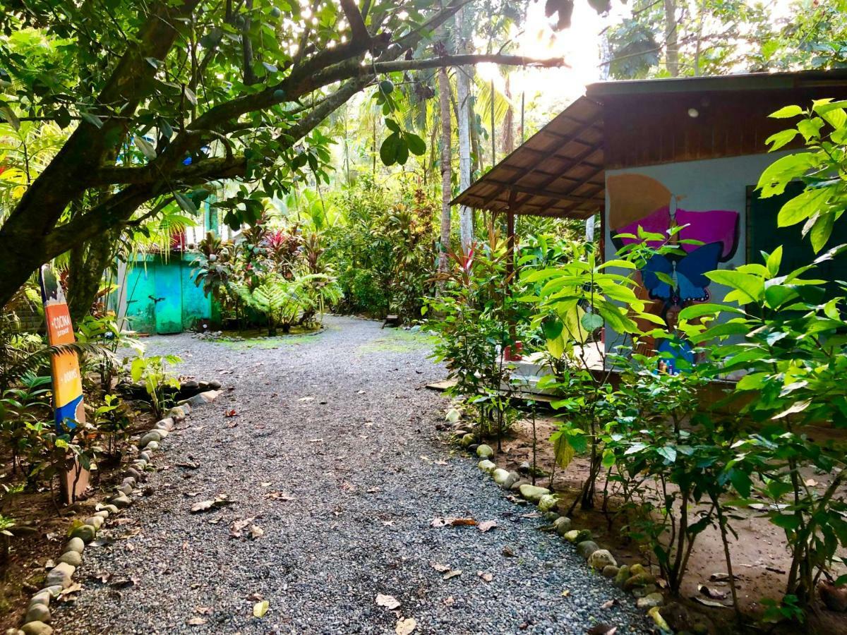 Tasty Dayz Hostel Puerto Viejo de Talamanca エクステリア 写真