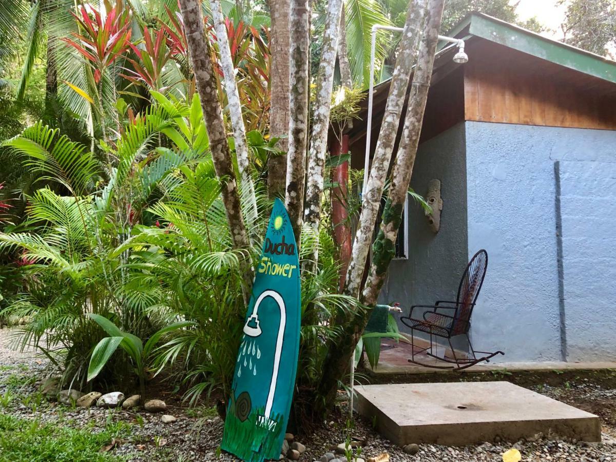 Tasty Dayz Hostel Puerto Viejo de Talamanca エクステリア 写真