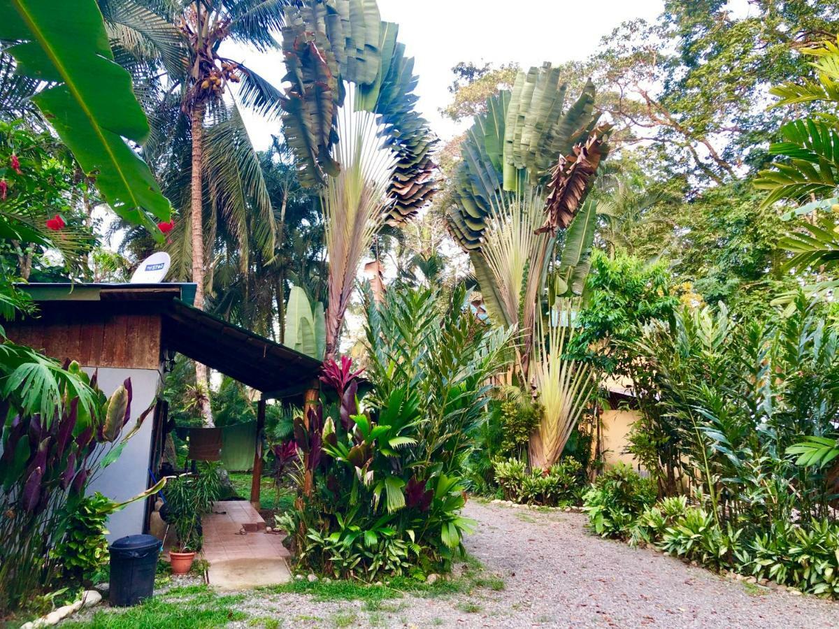 Tasty Dayz Hostel Puerto Viejo de Talamanca エクステリア 写真