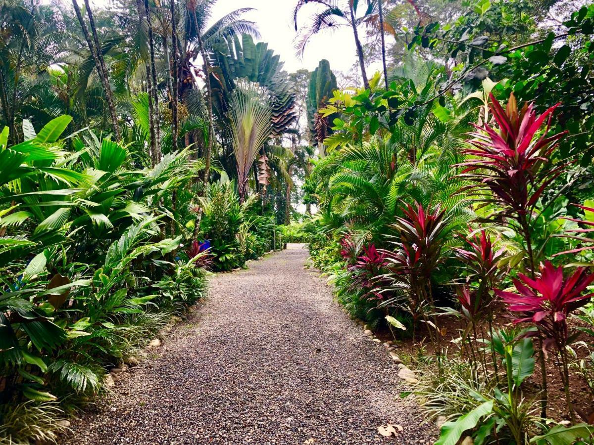Tasty Dayz Hostel Puerto Viejo de Talamanca エクステリア 写真