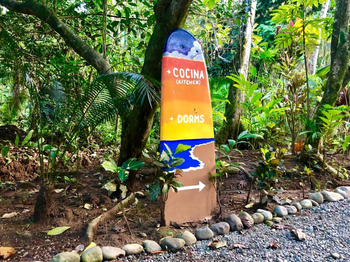 Tasty Dayz Hostel Puerto Viejo de Talamanca エクステリア 写真