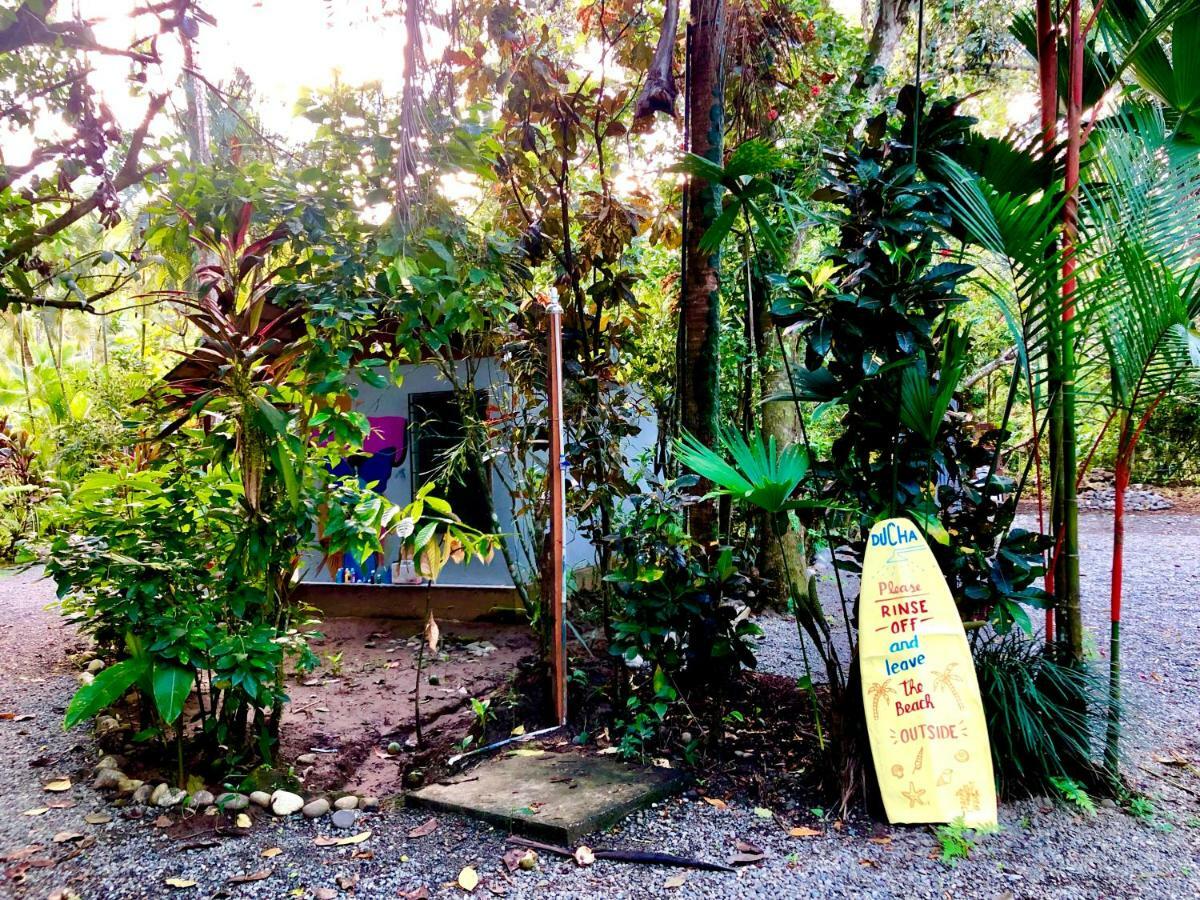 Tasty Dayz Hostel Puerto Viejo de Talamanca エクステリア 写真