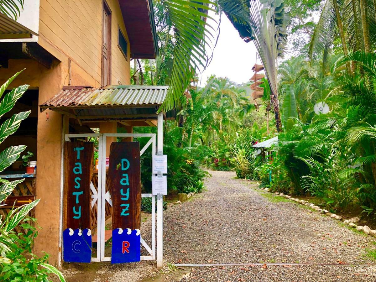 Tasty Dayz Hostel Puerto Viejo de Talamanca エクステリア 写真